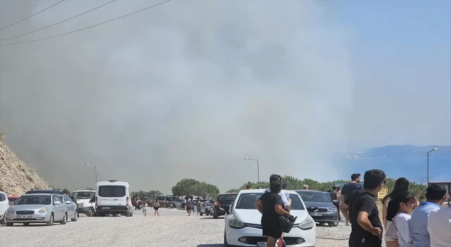 İzmir Dikili’de çıkan orman yangınına müdahale ediliyor