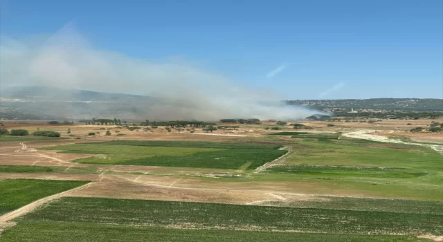 Muğla’nın Milas ilçesinde ikinci orman yangını çıktı