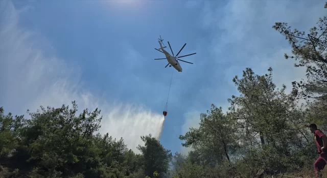 Hatay’da çıkan orman yangınına müdahale ediliyor