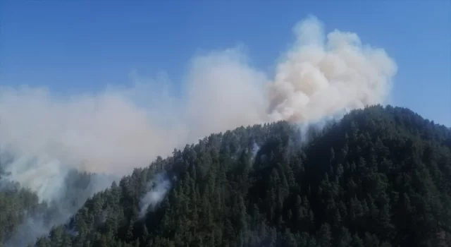 Kahramanmaraş’ta çıkan orman yangınına müdahale ediliyor