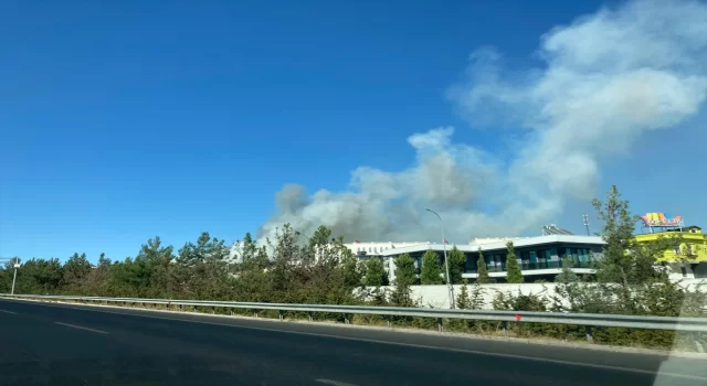 Gaziantep’te çıkan orman yangınına müdahale ediliyor