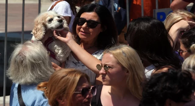 Ankara’da sahipsiz hayvanlara yönelik yasa teklifine karşı eylem