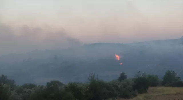 Adana’da çıkan orman yangınına müdahale ediliyor