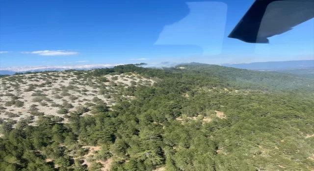 GÜNCELLEME Bursa’da ormanlık alanda çıkan yangın kontrol altına alındı