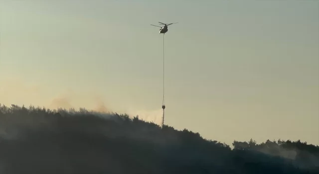 Manisa’nın Kırkağaç ilçesinde çıkan orman yangınına müdahale ediliyor