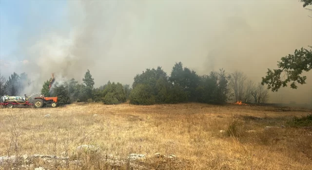 Kütahya’da ormanlık alanda çıkan yangına ekiplerce müdahale ediliyor