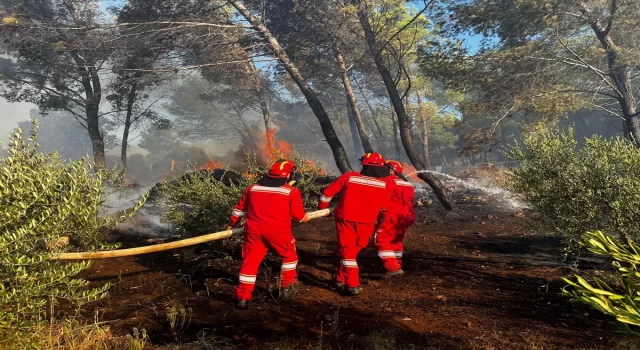 Arnavutluk’ta orman yangını çıktı