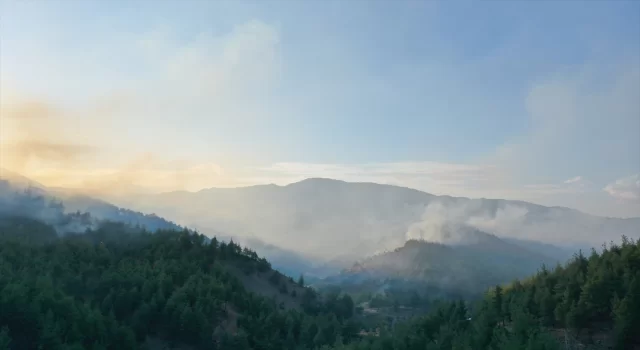 GÜNCELLEME  Kahramanmaraş’ta çıkan orman yangınına ekiplerce müdahale ediliyor