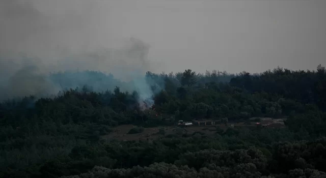 GÜNCELLEME  İzmir Urla’da çıkan orman yangınına müdahale ediliyor