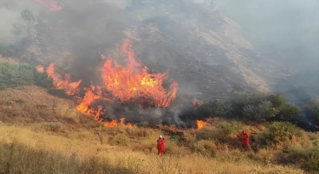 Bingöl’de çıkan orman yangını söndürüldü