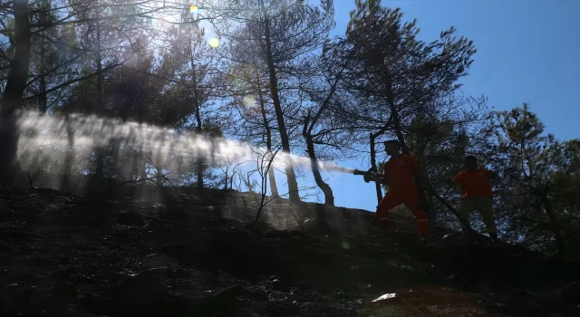 GÜNCELLEME Hatay’da çıkan orman yangını kontrol altına alındı