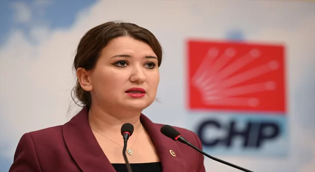 CHP Genel Başkan Yardımcısı Gökçen, basın toplantısı düzenledi: