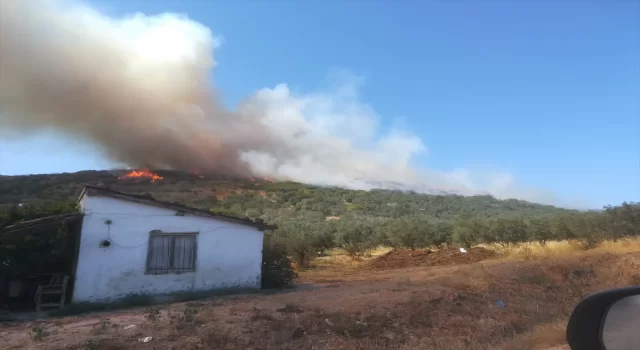 Balıkesir’de çıkan orman yangınına müdahale ediliyor