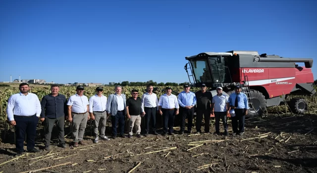 Edirne’de deneme ekimi yapılan yerli hibrit ayçiçeği hasat edildi 