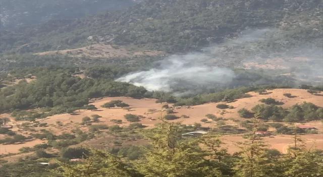 Adana’da orman yangınına müdahale eden helikopter suya düştü