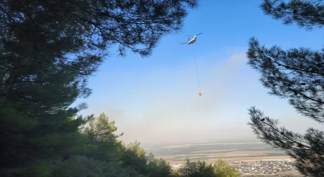 Hatay’da çıkan orman yangını kontrol altına alındı