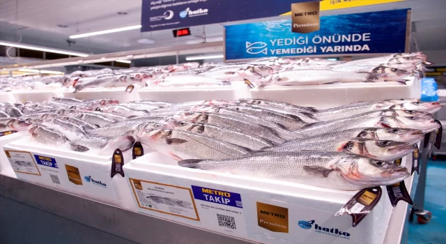 Metro Premium’dan yüksek Omega 3 değerine sahip levrek ve çipuralar