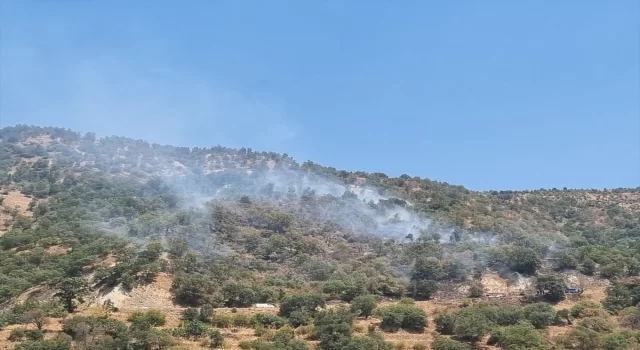 Aydın’da otomobilde başlayıp ormana sıçrayan yangın kontrol altına alındı