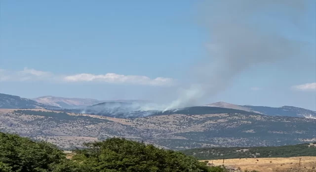 Tunceli’de ormanlık alanda çıkan yangına müdahale ediliyor