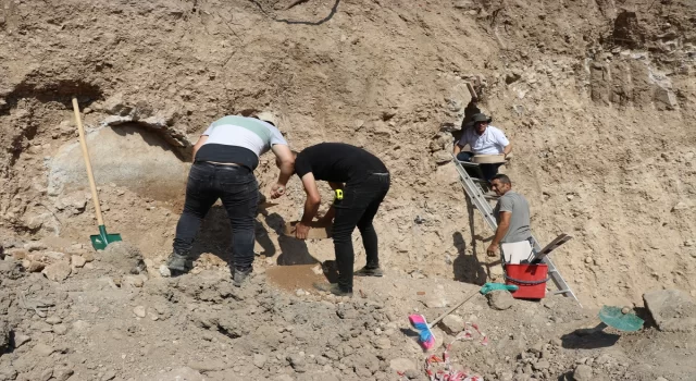 Amasya’da 2 bin yıllık olduğu değerlendirilen insan kemikleri bulundu