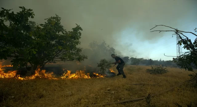 GÜNCELLEME  Aydın Germencik’te zeytinlik ve ormanlık alanda çıkan yangına müdahale ediliyor