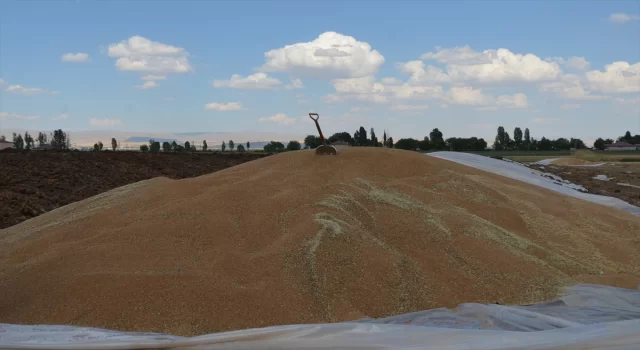 Muş’ta yüksek rekolte çiftçileri sevindirdi