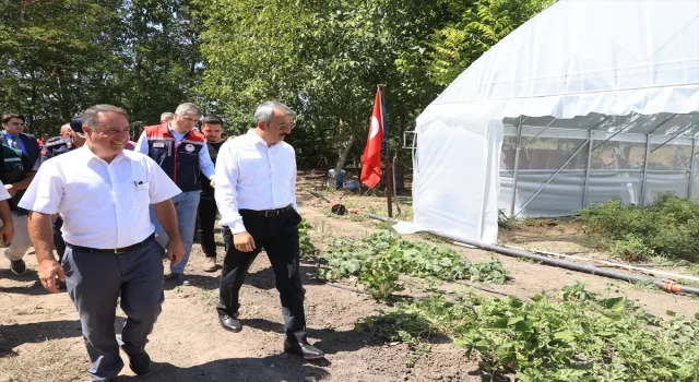 Edirne’de sera alanının devlet desteğiyle 500 dekara çıkarılması hedefleniyor