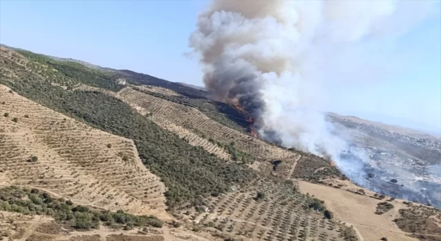 İzmir’de makilik alanda çıkan yangına müdahale ediliyor