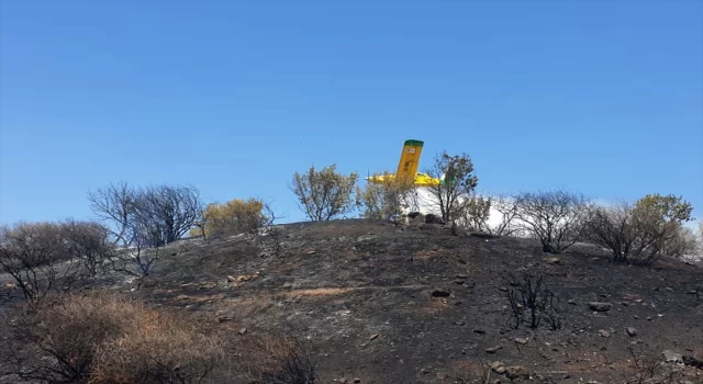 İzmir’de otluk alanda çıkan yangın söndürüldü