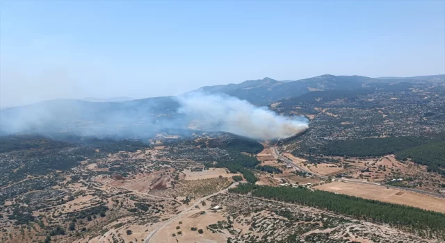 Mersin’de çıkan orman yangınına müdahale ediliyor