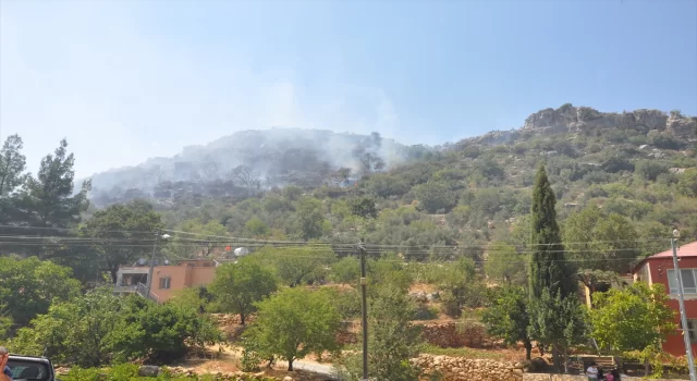 GÜNCELLEME Mersin’de çıkan orman yangını kontrol altına alındı