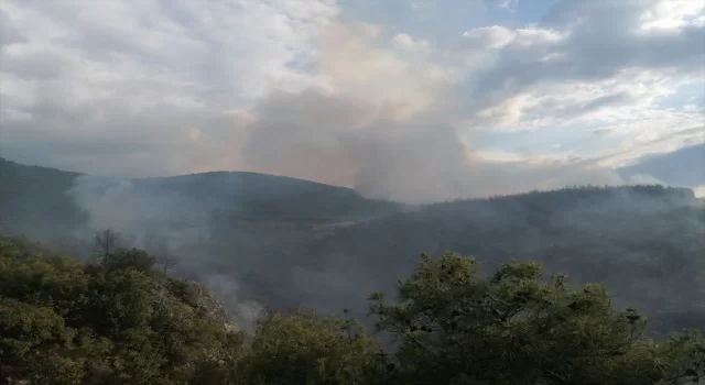 Tokat’ta ormanlık alanda çıkan yangına müdahale ediliyor