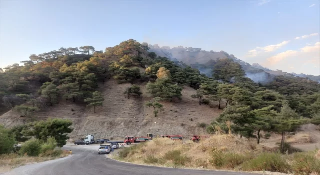 Manisa’nın Salihli ilçesindeki orman yangını kontrol altına alındı