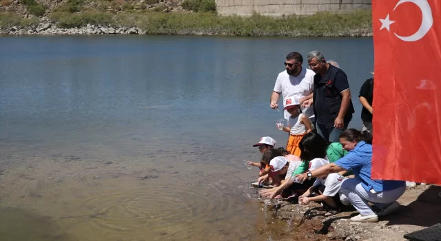 Çanakkale’deki baraj ve göletlere 1 milyon 750 bin sazan yavrusu bırakıldı