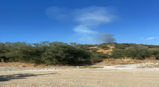 Çanakkale’nin Ayvacık ilçesindeki orman yangınına müdahale ediliyor