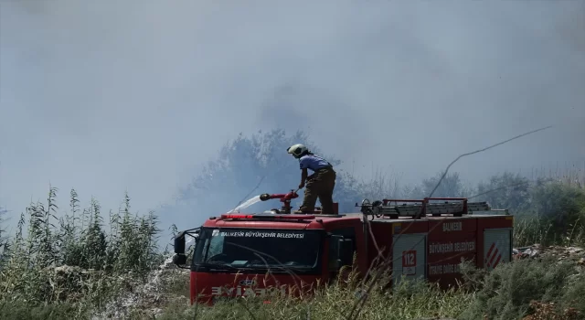 Balıkesir’de sazlık yangınları kontrol altına alındı 