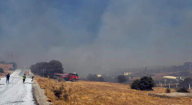 Aydın’da makilik alanda çıkan yangına müdahale ediliyor