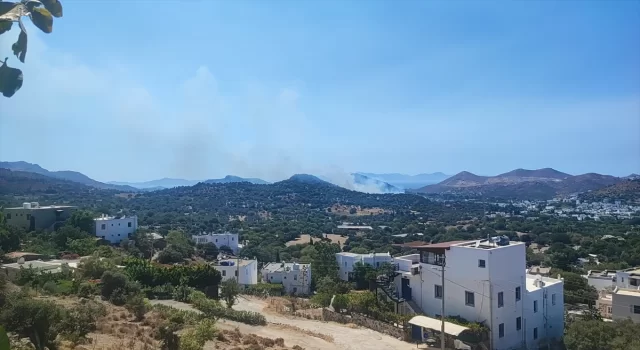 Bodrum’da makilik alandan zeytinliğe sıçrayan yangına müdahale ediliyor