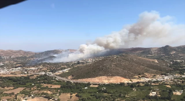 Aydın’da ormanda çıkan yangına müdahale ediliyor