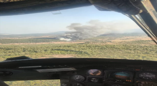 Milas’ta ormanlık alanda çıkan yangına müdahale ediliyor