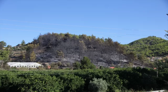 Antalya’da çıkan arazi yangını söndürüldü