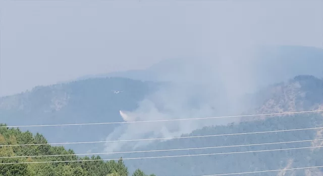 Karabük’te ormanlık alanda çıkan yangına 20 saattir müdahale ediliyor