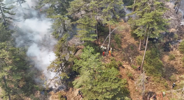 GÜNCELLEME Bolu’da ormanlık alanda çıkan yangına müdahale ediliyor