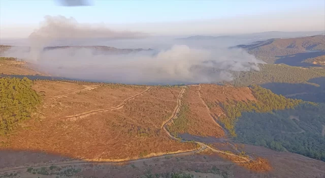 Manisa’daki orman yangınlarına müdahale sürüyor