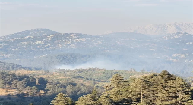 Osmaniye’de çıkan orman yangınına müdahale ediliyor