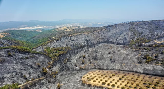 Yangınlarla boğuşan Ege’de yeşil alanlar yerini griye bıraktı