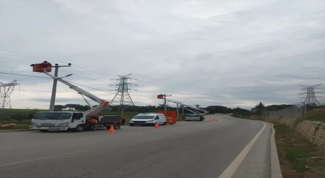 SEDAŞ, leyleklerin güvenli yolculuğu için Kocaeli’de harekete geçti