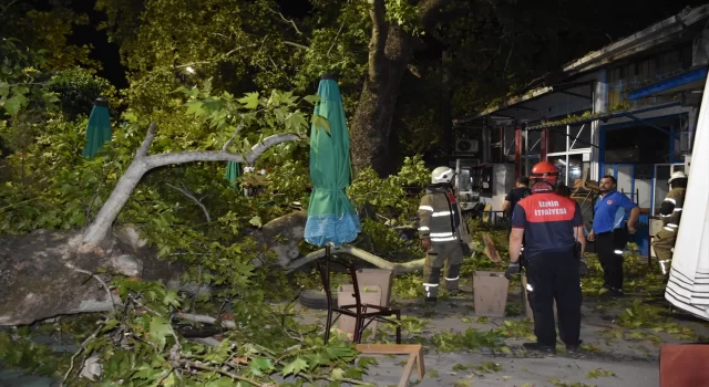 İzmir’de 9 kişi kırılan ağaç dallarının üzerlerine düşmesi sonucu yaralandı 