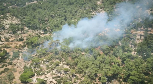 Muğla’nın Yatağan ilçesinde çıkan orman yangınına müdahale ediliyor