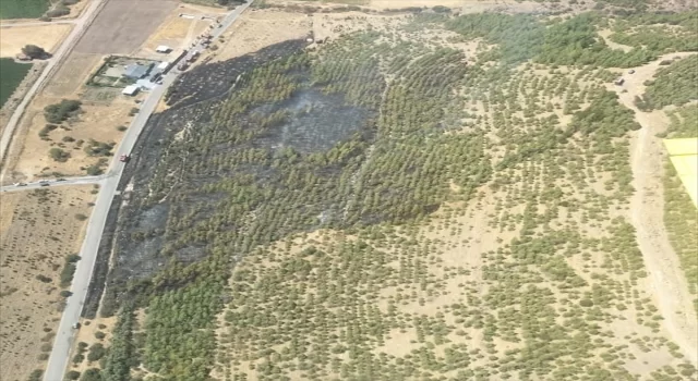 İzmir Bergama’da çıkan orman yangını kontrol altına alındı